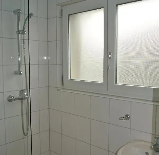 فندق Schweizerhaus 3*