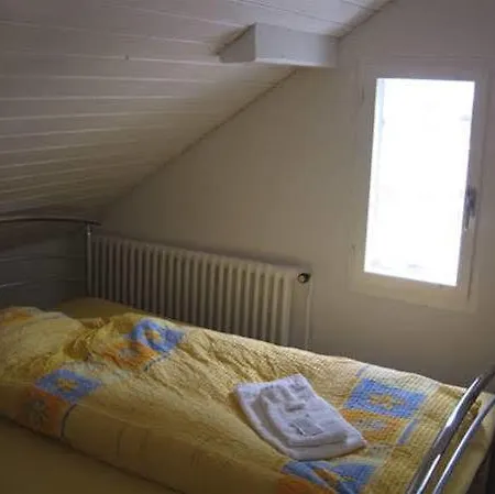 Hotel Schweizerhaus 3*