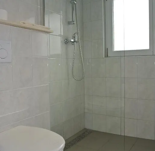 Hotel Schweizerhaus 3*